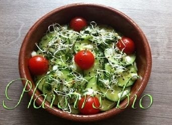 Salade de concombre bio