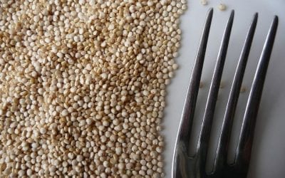 Le quinoa, sa culture et ses bienfaits