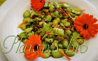Salade de fèves à la fleur de souci