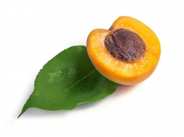 L'abricot présente de nombreux bienfaits pour la peau. L'huile de noyaux d'abricots est une mine d'or !