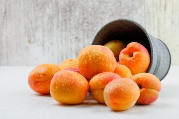 Les bienfaits et vertus de l’abricot pour la santé