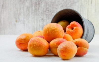 Les bienfaits et vertus de l’abricot pour la santé